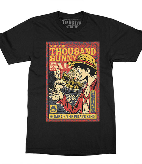 Visit Thousand Sunny